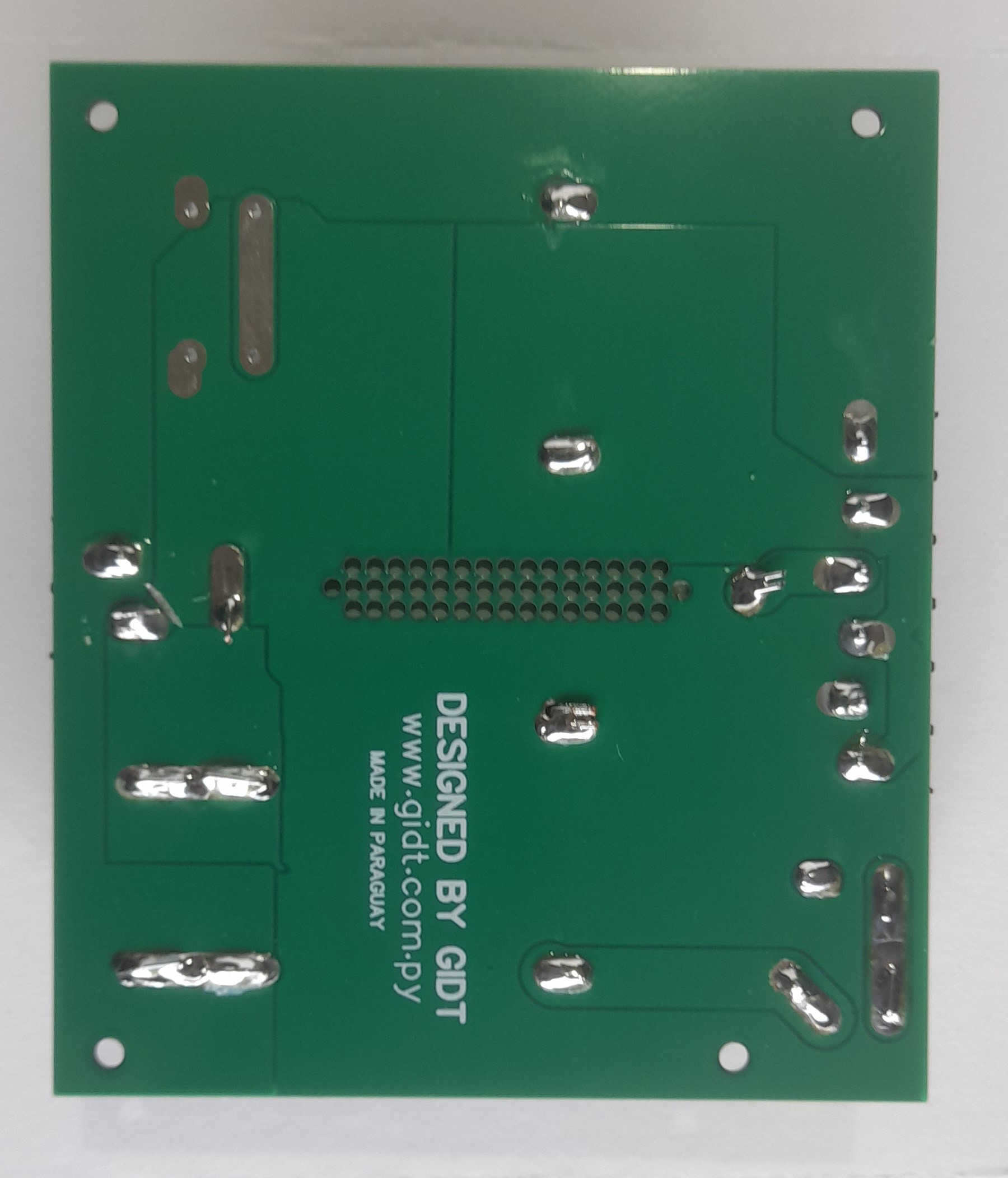 F3 vista posterior